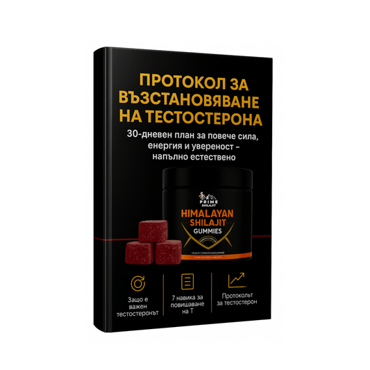 7-те тайни за повишен тестостерон (Електронна Книга)